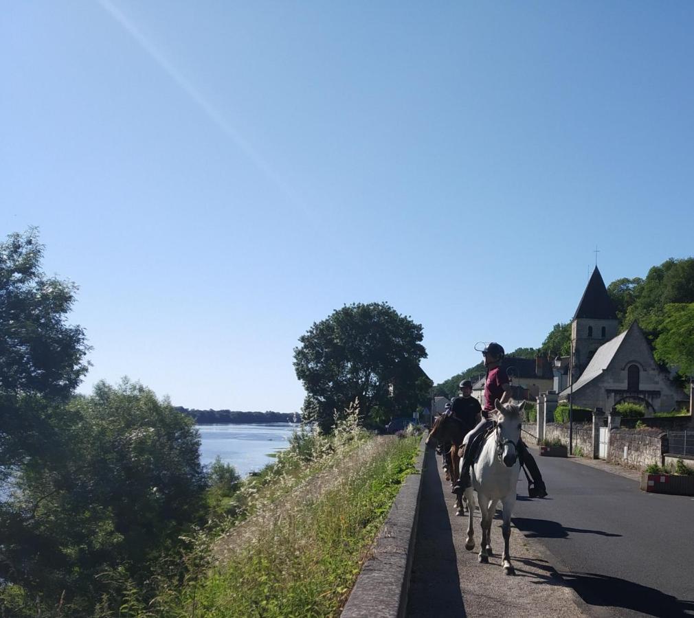 Naturellement Loire ! Villa Saint-Martin-de-la-Place Екстериор снимка